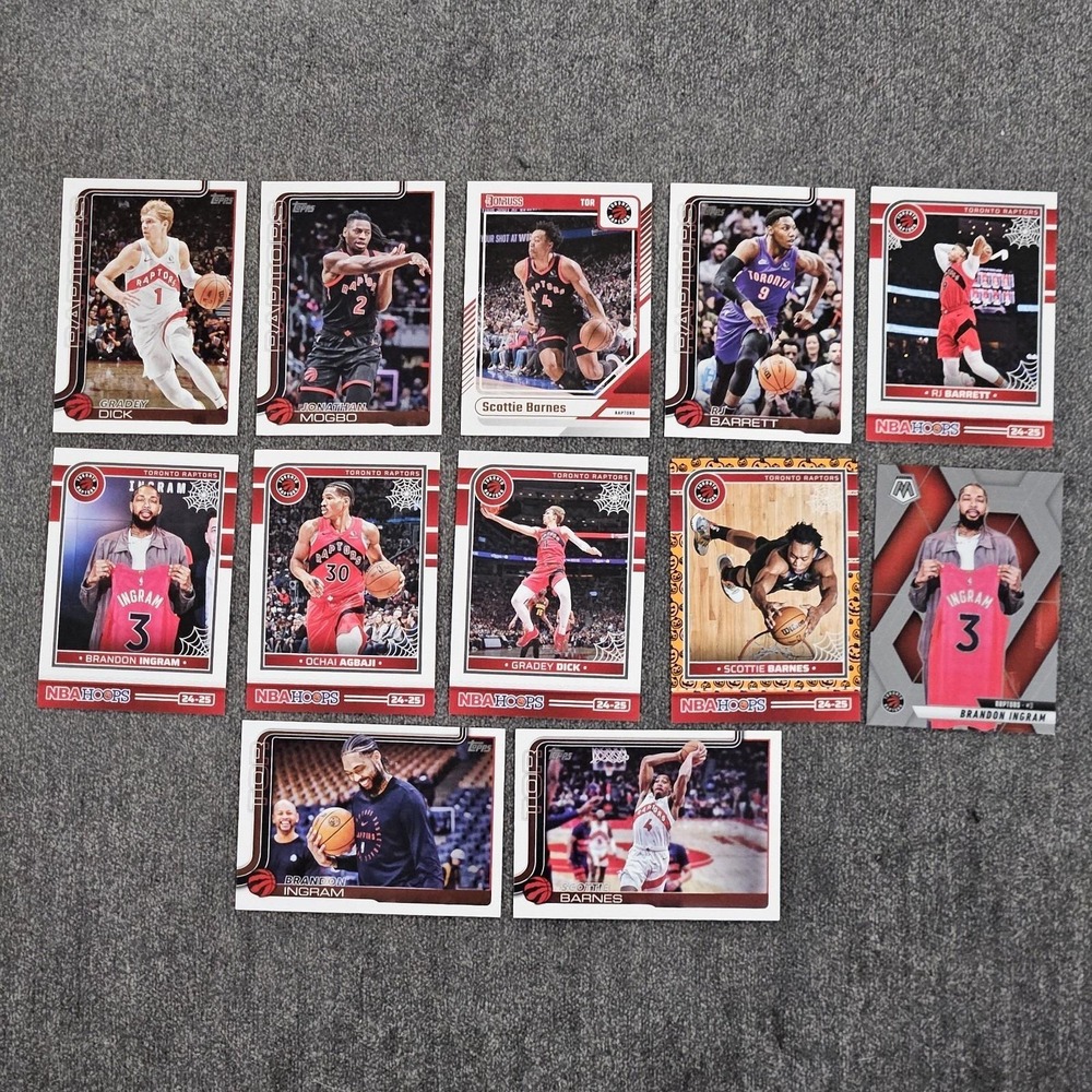 Toronto Raptors‎ NBA Team Mixed Lot Of 12